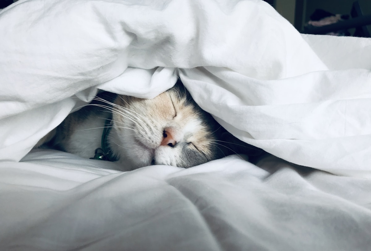 Personne endormie dans un lit calme et confortable